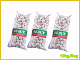 Normal White Garlic(10 Kg)